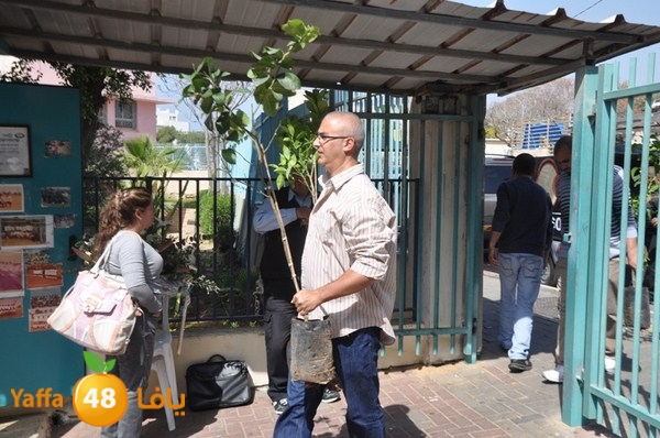 trees shamela 0321 (45).JPG